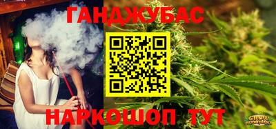 индика Краснознаменск